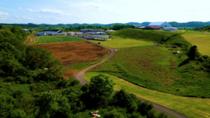 Mylan Park ready to launch ice arena project